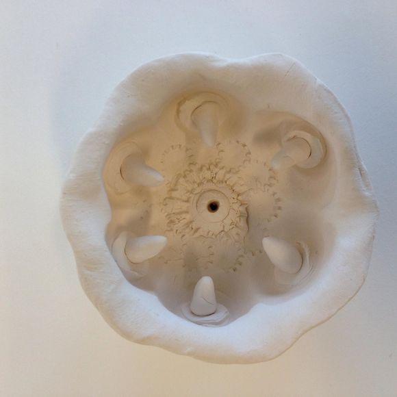 Meet your Posher, Maggie - Picture 1 of 5